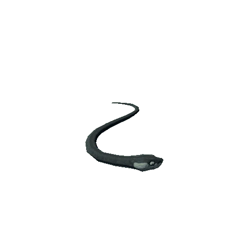 Snake 6